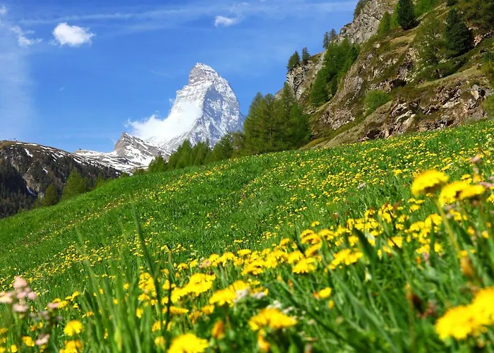 Gamma By Interhome * Zermatt